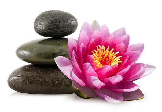 Flower Lotus and Zen Wall Decal