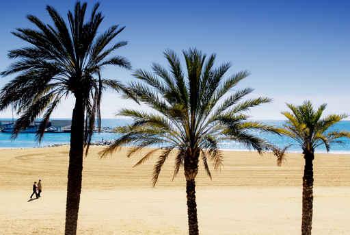 Barcelona Beach Spain Wall Decal