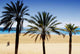 Barcelona Beach Spain Wall Decal