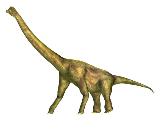 Brachiosaurus Wall Decal Design 2