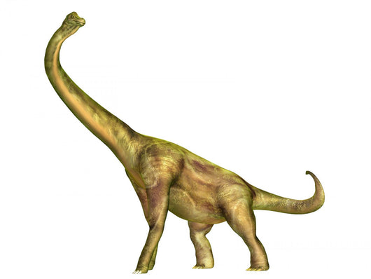 Brachiosaurus Wall Decal Design 1