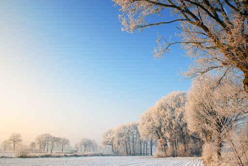 Winter Landscape Holland Wall Decal