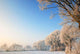 Winter Landscape Holland Wall Decal