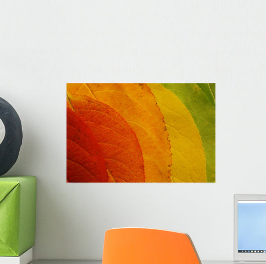 Autumn Leaf Palette Wall Decal