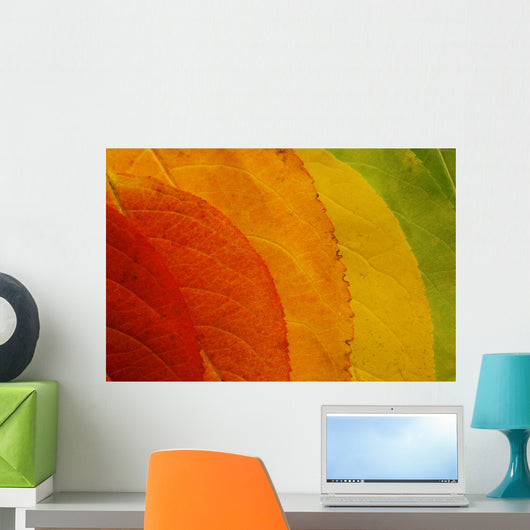Autumn Leaf Palette Wall Decal