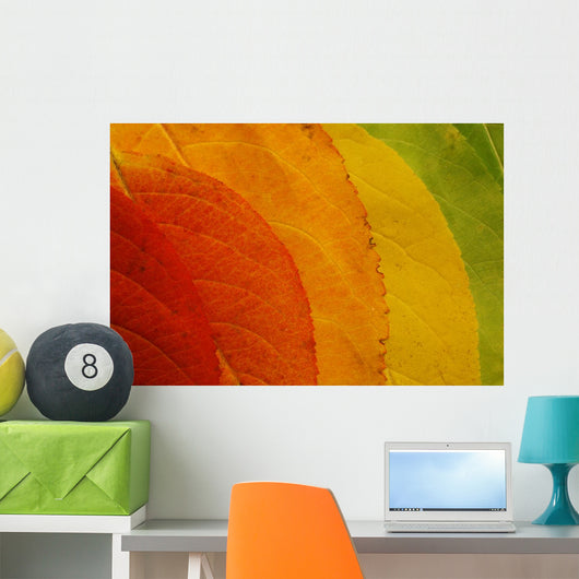 Autumn Leaf Palette Wall Decal