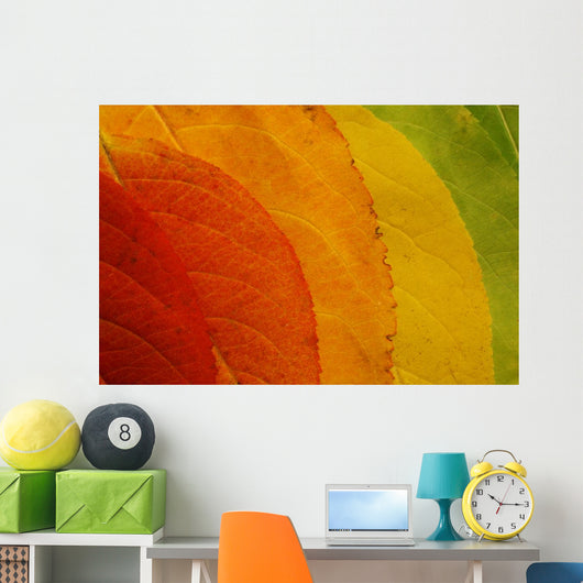 Autumn Leaf Palette Wall Decal