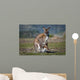 Kangaroo and Joey Wall Decal