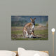 Kangaroo and Joey Wall Decal