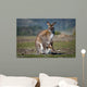 Kangaroo and Joey Wall Decal