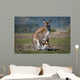 Kangaroo and Joey Wall Decal