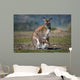 Kangaroo and Joey Wall Decal