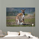 Kangaroo and Joey Wall Decal