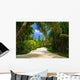Pathway Tropical Park Wall Decal