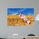 Pig Wall Decal