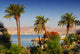 Eilat Wall Decal