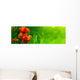 Horizontal Band Green and Wall Decal