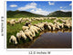 Sheep Bistra Mountain Drinking Wall Decal