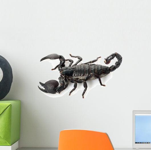 Emperor Scorpion Wall Decal