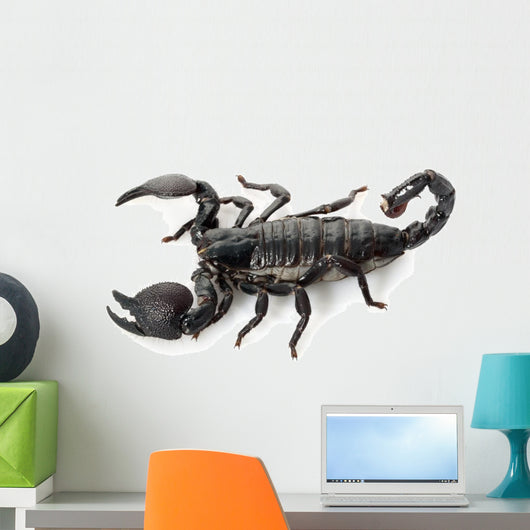 Emperor Scorpion Wall Decal