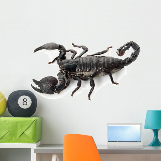 Emperor Scorpion Wall Decal