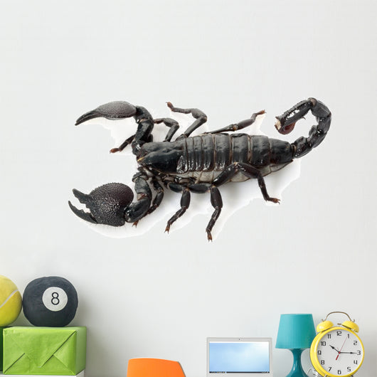Emperor Scorpion Wall Decal