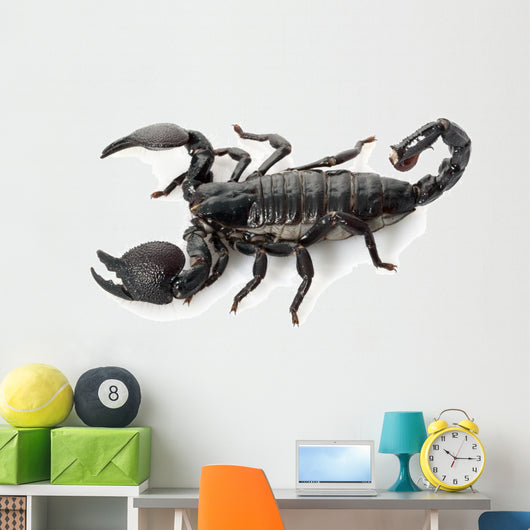 Emperor Scorpion Wall Decal
