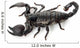 Emperor Scorpion Wall Decal