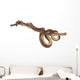 Solomon Island Tree Boa Wall Decal