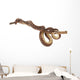 Solomon Island Tree Boa Wall Decal