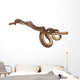 Solomon Island Tree Boa Wall Decal