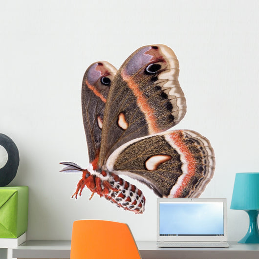 Flying Cecropia Moth White Wall Decal