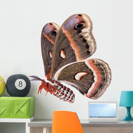 Flying Cecropia Moth White Wall Decal