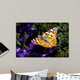 Colorful Butterfly Wall Decal