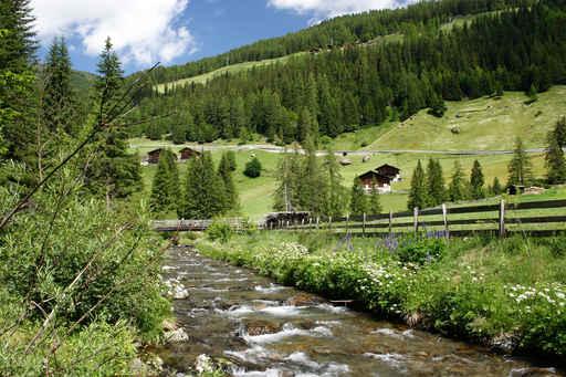 Torrent Ultental South Tyrol Wall Decal