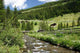 Torrent Ultental South Tyrol Wall Decal