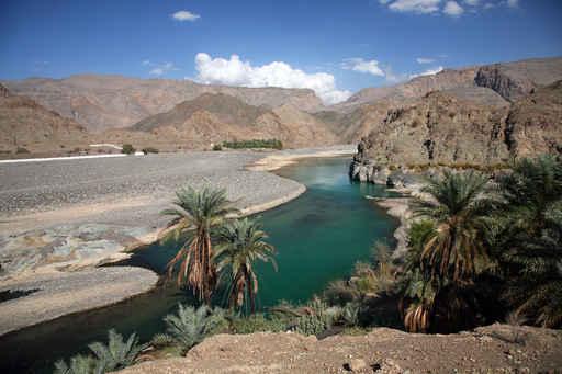 Oase Oman Wall Decal