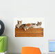 Litter Five Kittens Wooden Wall Decal