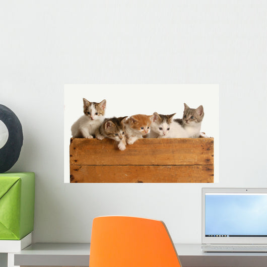 Litter Five Kittens Wooden Wall Decal