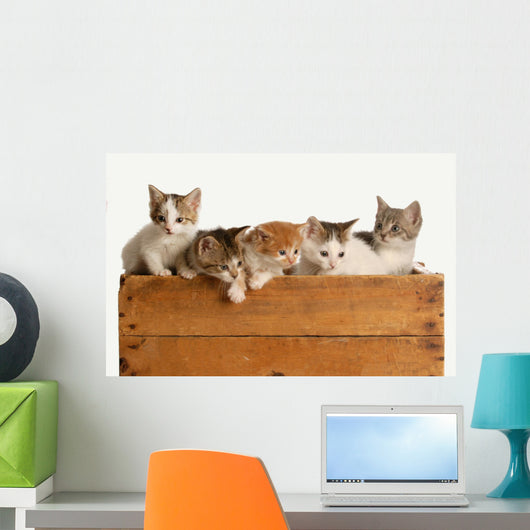 Litter Five Kittens Wooden Wall Decal