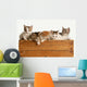 Litter Five Kittens Wooden Wall Decal