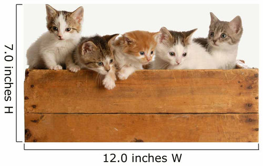 Litter Five Kittens Wooden Wall Decal