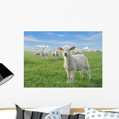 Cute Little Lambs Wall Decal shown on a wall