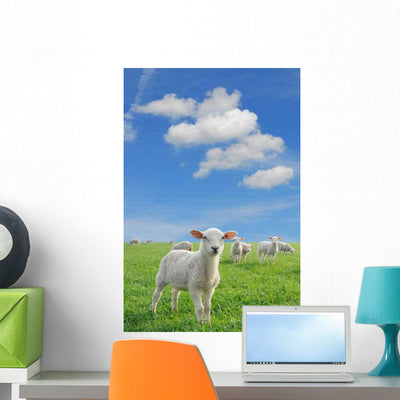 Lambs New Wall Decal shown on a wall