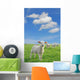 Lambs New Wall Decal