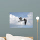 Seagull in Flight One Wall Mural