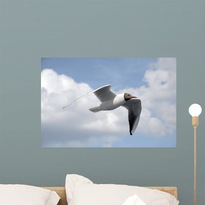 Seagull Flight One Wall Mural shown on a wall