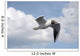 Seagull in Flight One Wall Mural