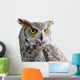 Canadian Owl Wall Decal