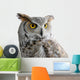 Canadian Owl Wall Decal